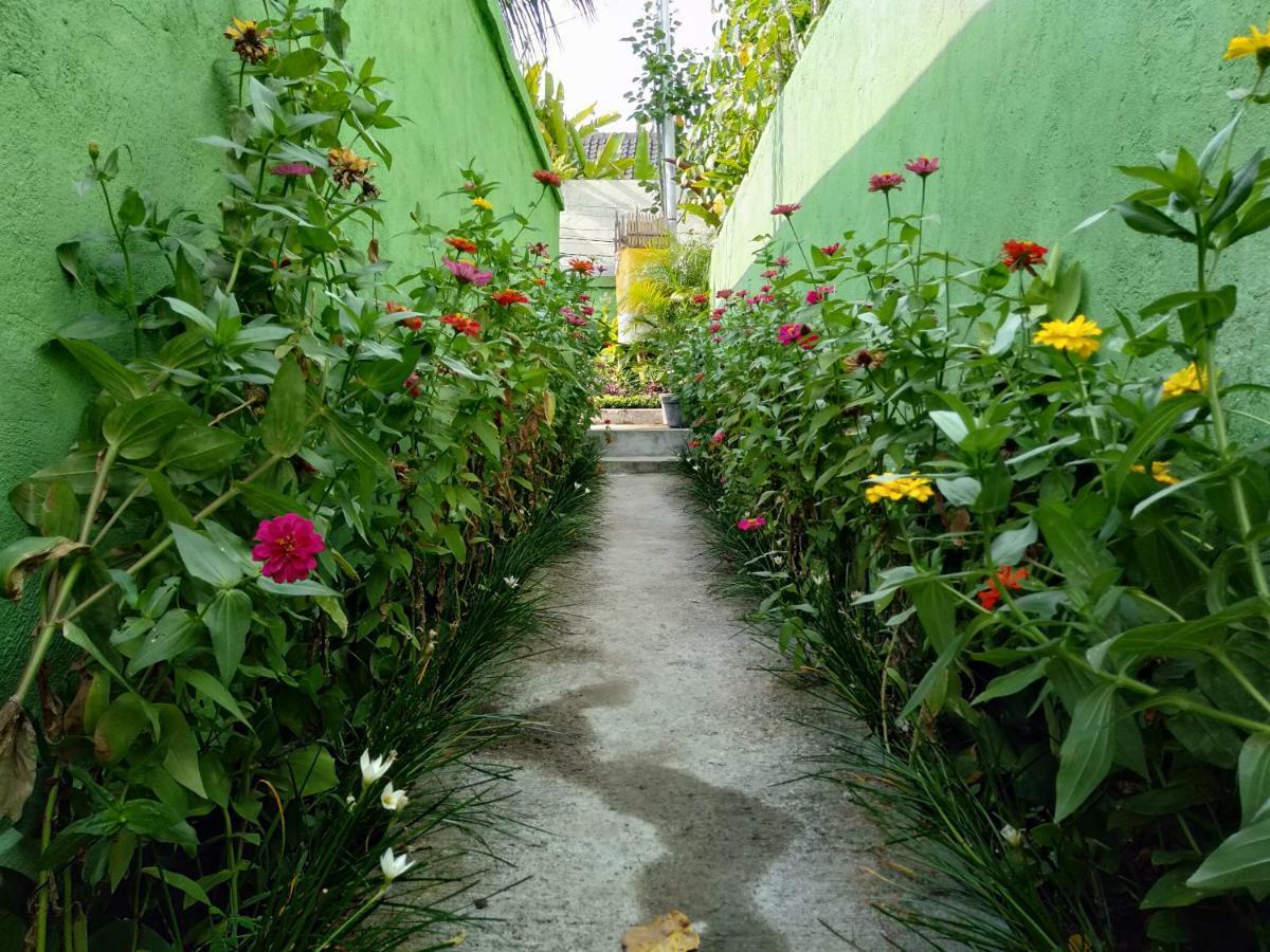 Rumah Mini Διαμέρισμα Ουμπούντ Εξωτερικό φωτογραφία